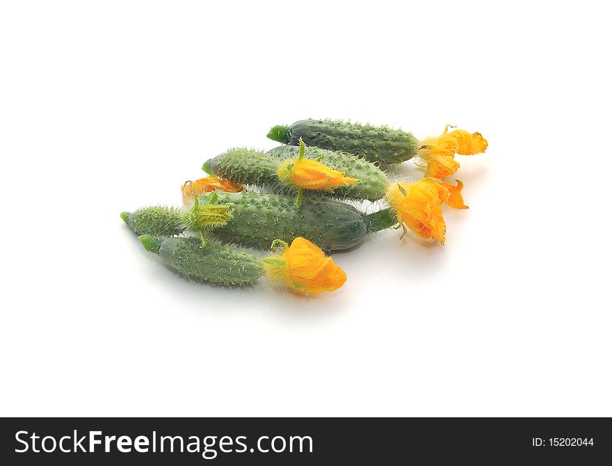 Green cucumbers with a flowers on a white background