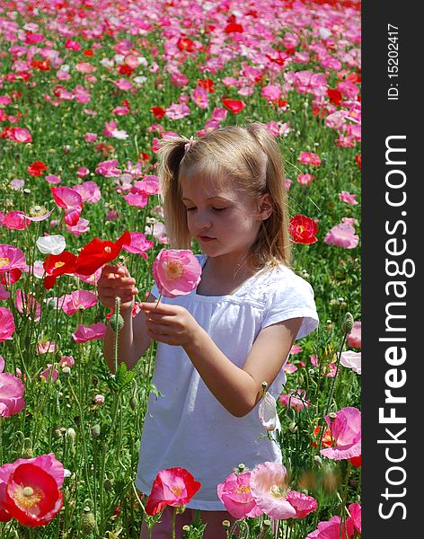 Girl in Poppies