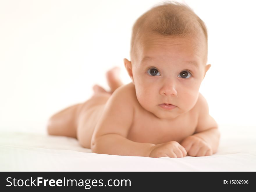 Portrait of a beautiful newborn on a white background. Portrait of a beautiful newborn on a white background