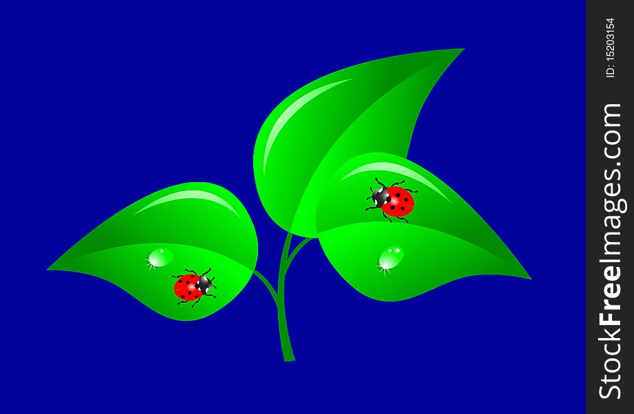 Green tree with ladybugs. Vector. Green tree with ladybugs. Vector.