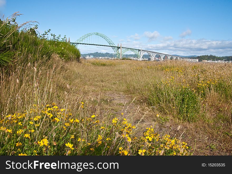 Bridge behind a field of wild flowers in Newport, Oregon. Bridge behind a field of wild flowers in Newport, Oregon.