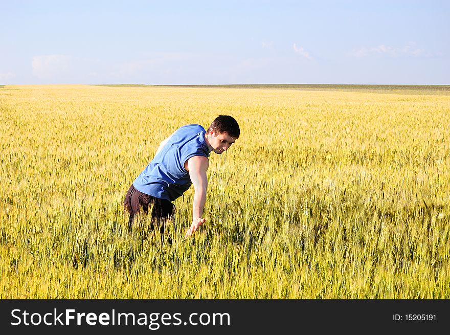 The Guy In A Wheaten Field