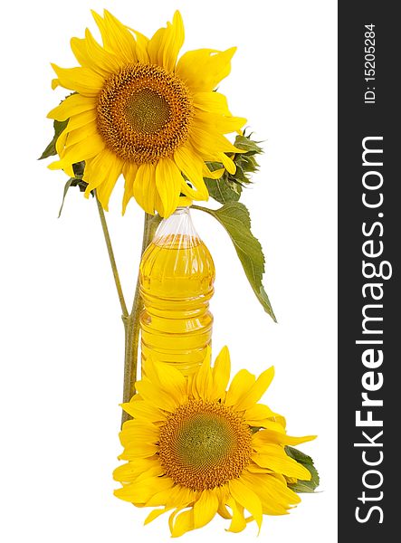 Sunflower Oil And Sunflower