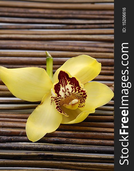 Orchid flower on bamboo mat