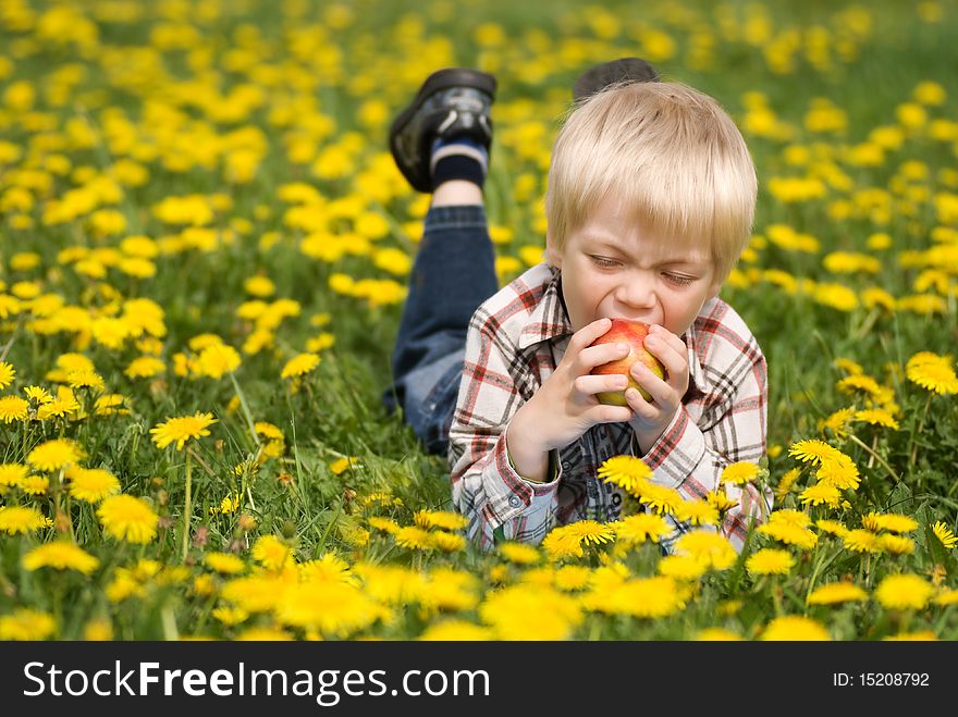 The laughing boy with an apple lies in the field from dandelions. The laughing boy with an apple lies in the field from dandelions