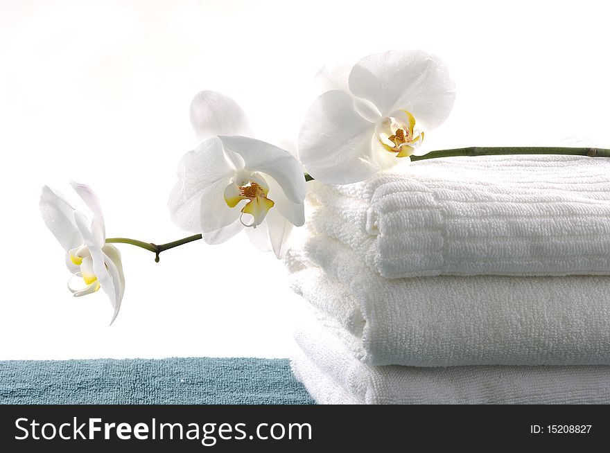 Bath still life-towel with orchid