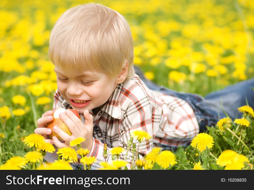 The laughing boy with an apple lies in the field from dandelions. The laughing boy with an apple lies in the field from dandelions