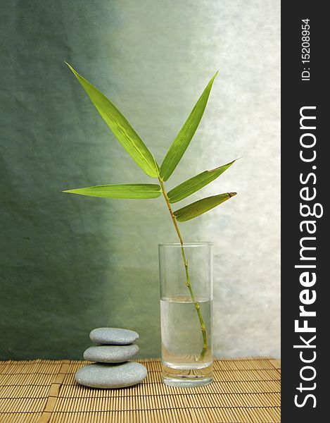 Bamboo leaf in vase with stacked stones. Bamboo leaf in vase with stacked stones
