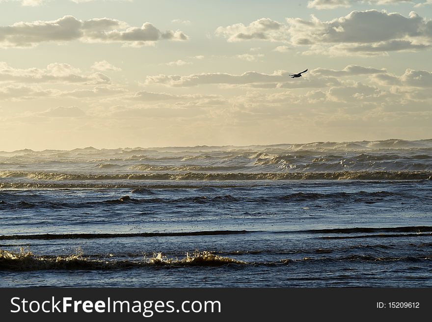 Ocean with Bird and Clouds