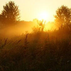 Foggy Morning Stock Photo Foggy Morning Stock Photo