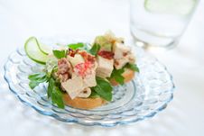 Spicy Chicken Salad Sandwich Royalty Free Stock Images