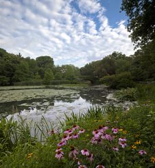 Central Park At The Pond Stock Photography