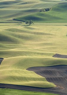 Lone Tree In The Distance. Royalty Free Stock Photos Lone Tree In The Distance. Royalty Free Stock Photos