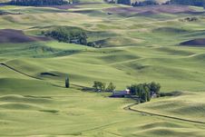 Rolling Hills In The Palouse. Royalty Free Stock Images Rolling Hills In The Palouse. Royalty Free Stock Images