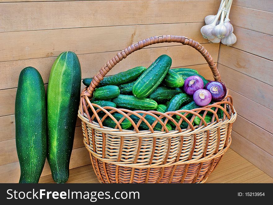 Garden green cucumber in wicker lug-summer vegetables crop