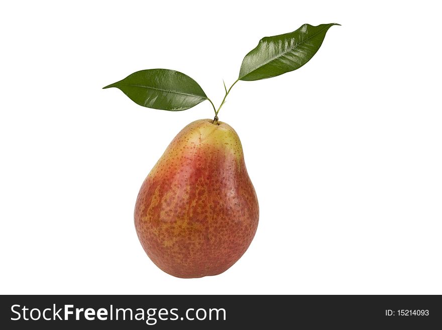 Single ripe pear withe leaves. isolated on a white background. Single ripe pear withe leaves. isolated on a white background.