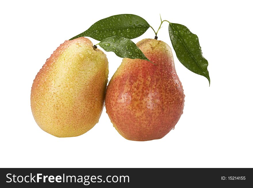 Pair ripe Pear with leaf. Isolated on a white background. Pair ripe Pear with leaf. Isolated on a white background
