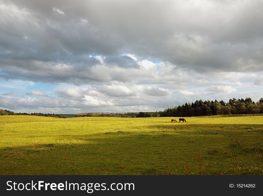 Scottish landscape with horses and clouds