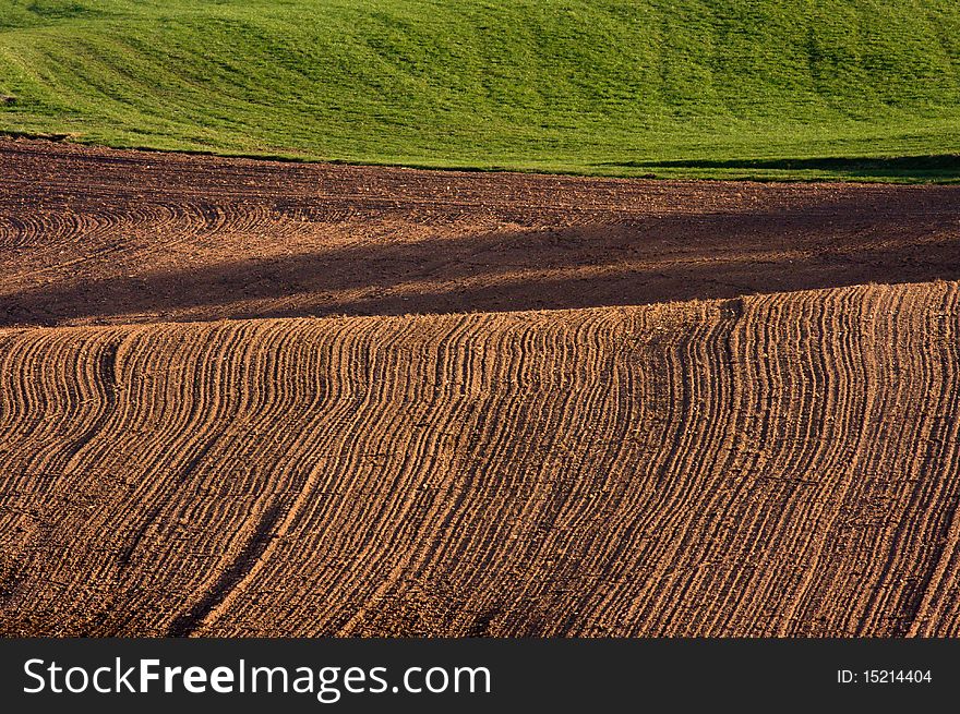 Ploughed Field