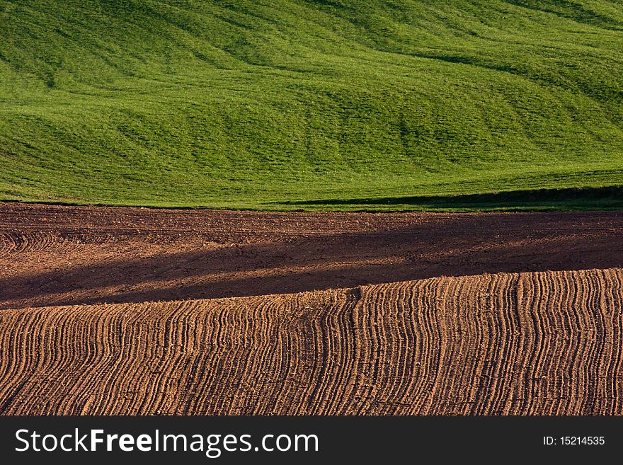 Ploughed field