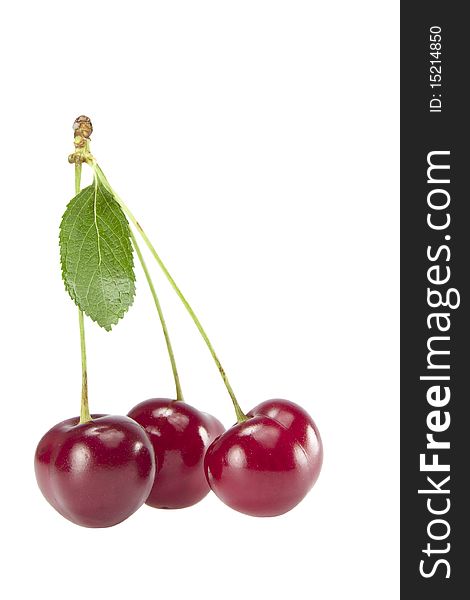 Trio cherries with leaf on a stem on a white background. Trio cherries with leaf on a stem on a white background