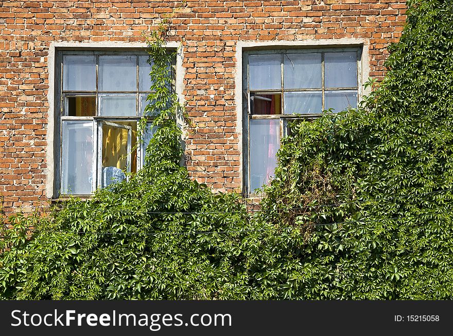 A pair of windows in an old brick wall. Leaves plant closes a small portion of the windows. Detail of the facade. Outdoor. A pair of windows in an old brick wall. Leaves plant closes a small portion of the windows. Detail of the facade. Outdoor.