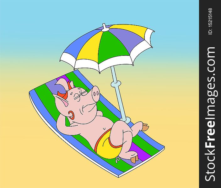 The pig sunbathes on a beach.