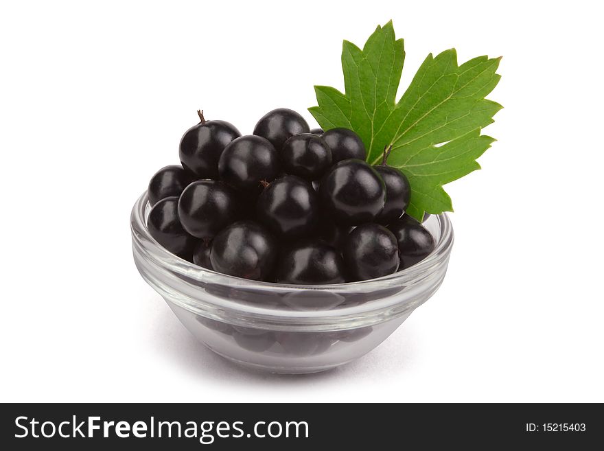 Black currant in a bowl isolated with a path