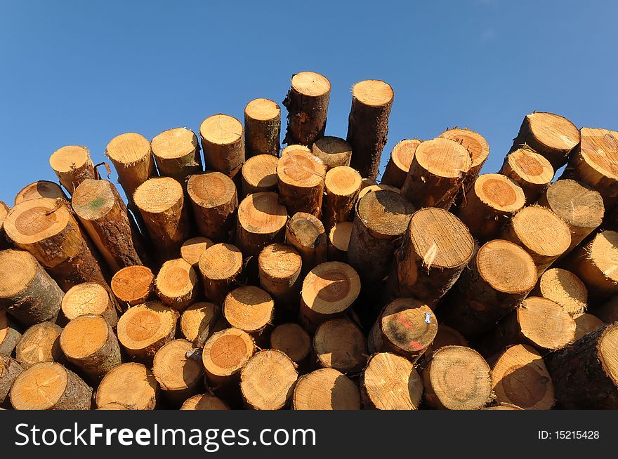 A huge assortment of trunks shot at a sout-west German sawmill