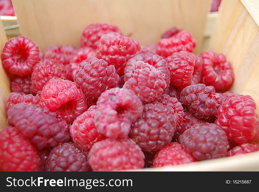 Fresh raspberries just picked in a wooden crate
