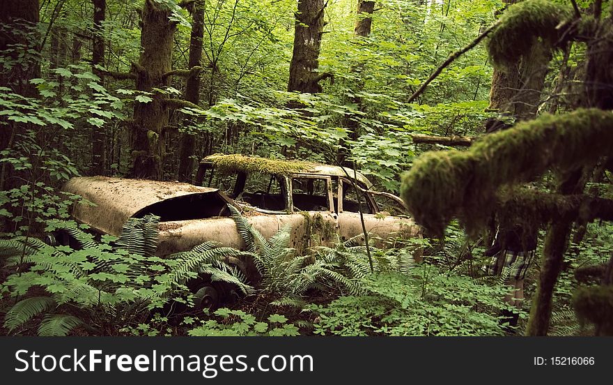 An old, bent, rusty antique car with moss growing on it sits in the woods. An old, bent, rusty antique car with moss growing on it sits in the woods.