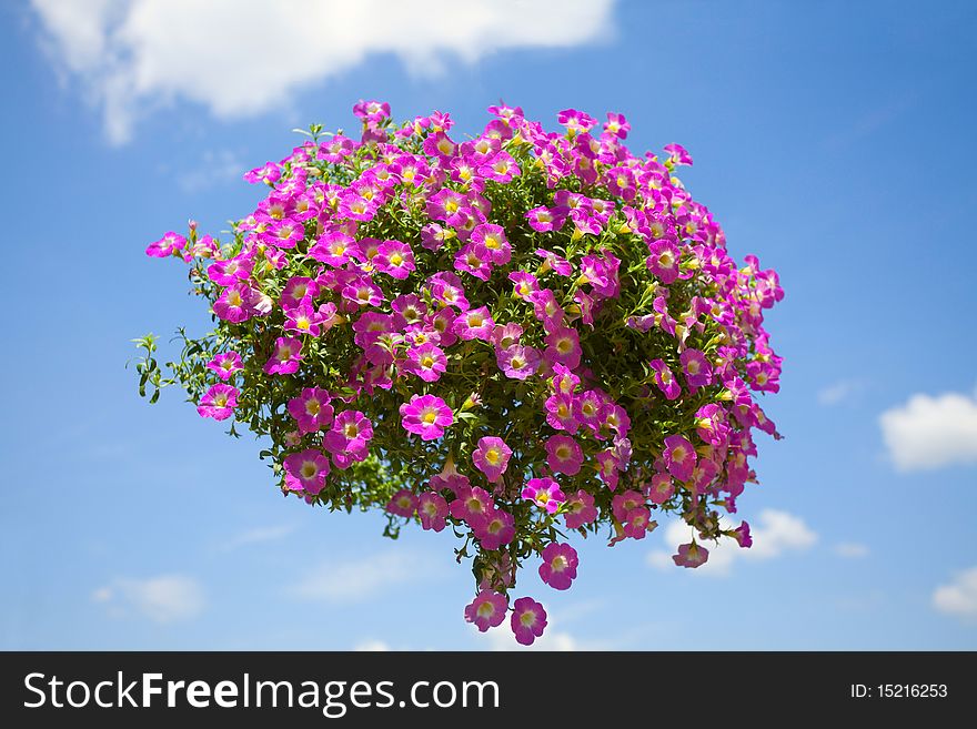 Pink flower bouquet flying in air