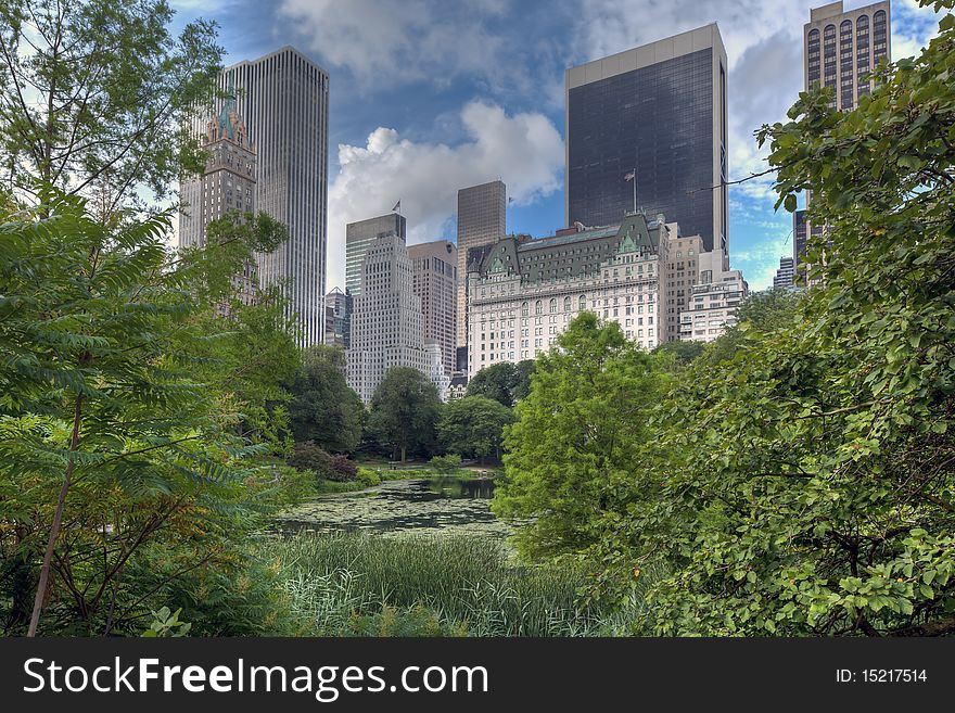 Central Park in the early morning