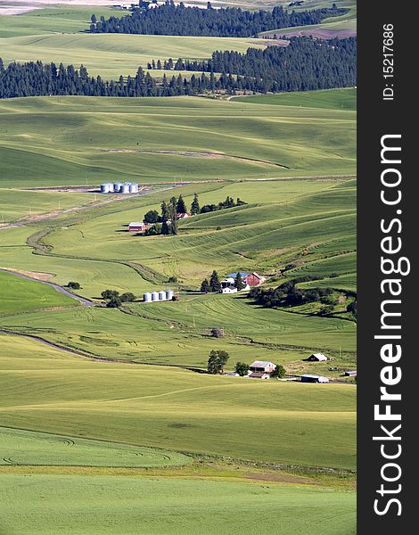 A small road winds its way through the Palouse farmland near Steptoe BUtte, Washington. A small road winds its way through the Palouse farmland near Steptoe BUtte, Washington.