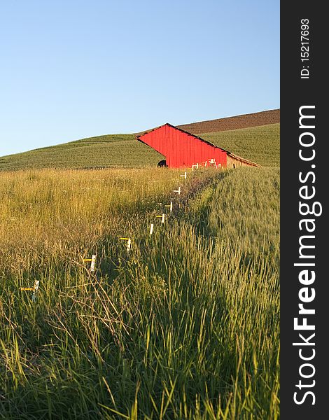 A wire fence leads to a red barn in a green field. Palouse region of Washington. A wire fence leads to a red barn in a green field. Palouse region of Washington.