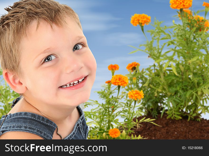 Handsome 4 year old american boy sitting in marigold garden. Handsome 4 year old american boy sitting in marigold garden.