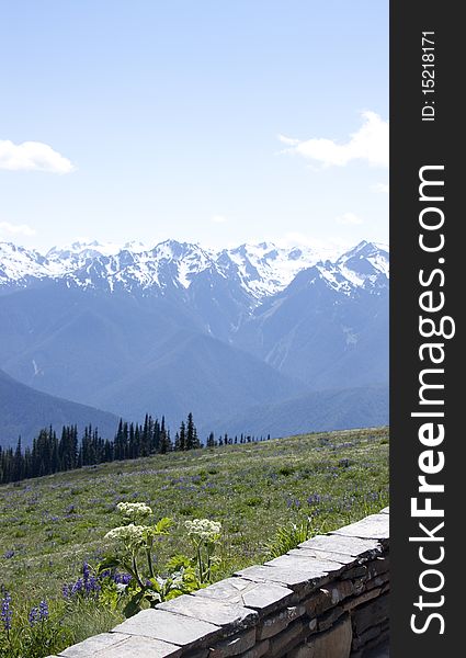 A stone wall setting off the flowers of a meadow with trees and snow-covered mountains in the distance, blue sky overhead. A stone wall setting off the flowers of a meadow with trees and snow-covered mountains in the distance, blue sky overhead.