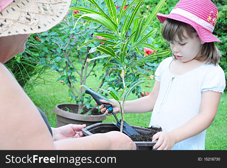 Grandmother and grandson plant plant