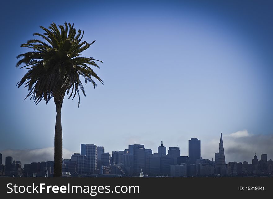 Palm tree in front of the city of San Francisco. Palm tree in front of the city of San Francisco