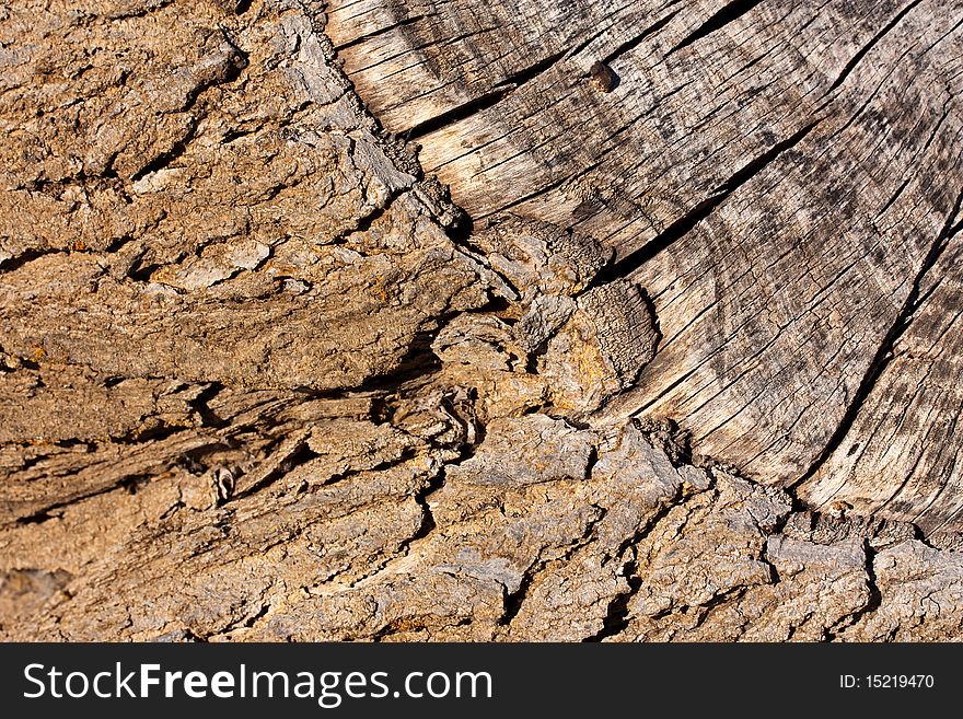 Background image of a cut stump with bark and dry wood. Background image of a cut stump with bark and dry wood