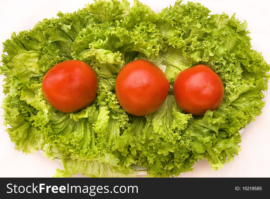 Dish with fresh summer vegetables: tomatos and salad