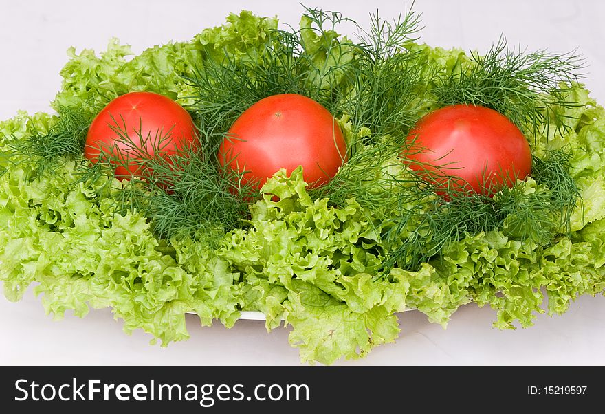 Dish with fresh summer vegetables: tomatos and salad