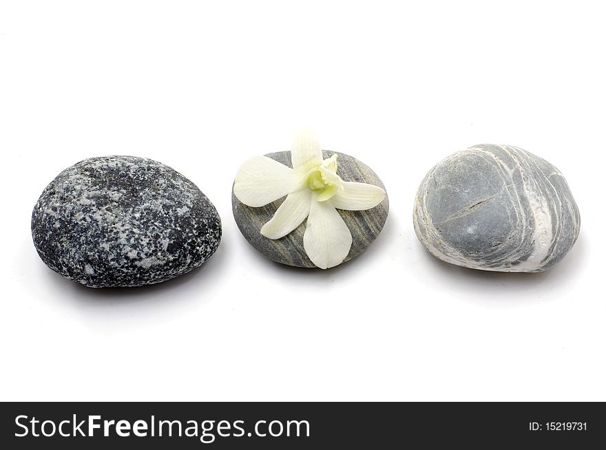 Row of zen stone with orchid. Row of zen stone with orchid