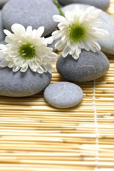 Still Life Royalty Free Stock Photography Still Life Royalty Free Stock Photography