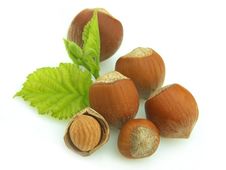 Group Of Wood Nuts Royalty Free Stock Photography Group Of Wood Nuts Royalty Free Stock Photography