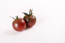 Tiny Heirloom Deep Purple Cherry Tomatoes Royalty Free Stock Photography Tiny Heirloom Deep Purple Cherry Tomatoes Royalty Free Stock Photography
