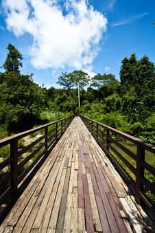 Wood Bridge To Jungle With Sky Stock Photography Wood Bridge To Jungle With Sky Stock Photography