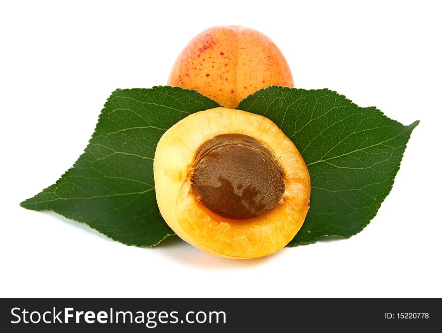Apricot isolated on white background