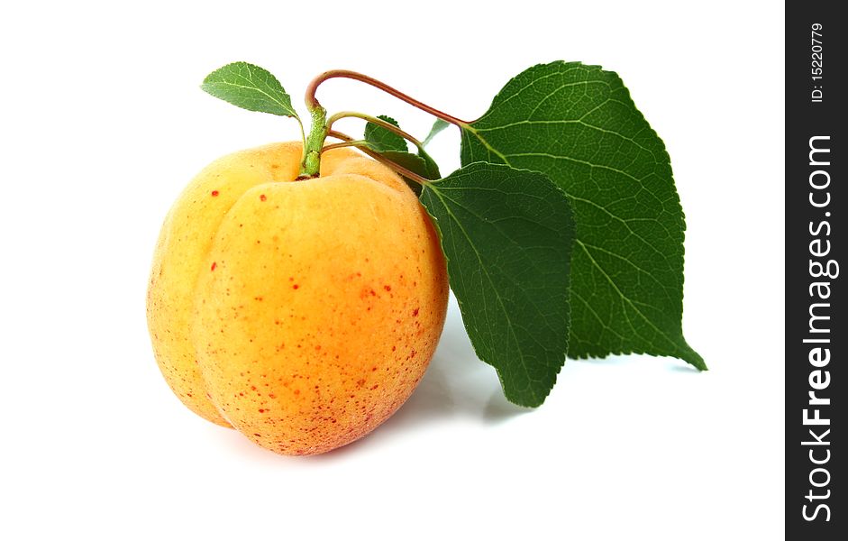 Apricot isolated on white background