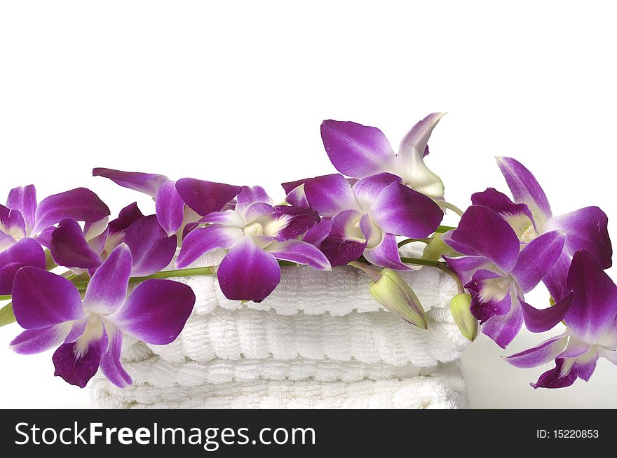 White towel and pink orchids flower. White towel and pink orchids flower